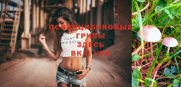 скорость Алексеевка