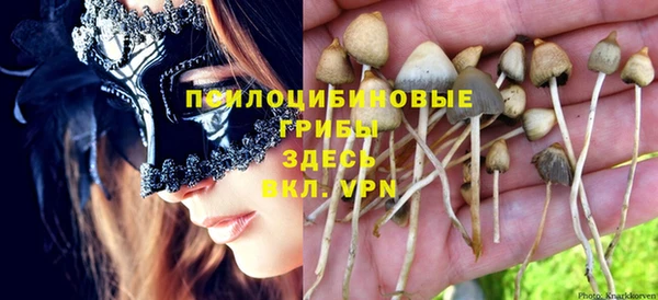 скорость Алексеевка