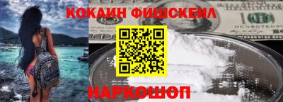 гашик Моздок