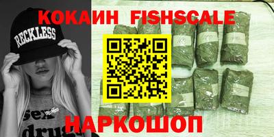 гашик Моздок