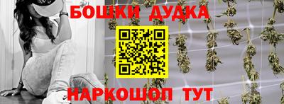 гашик Моздок