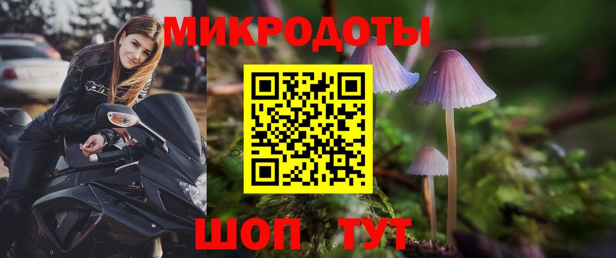 где найти   Вход с VPN  Петрозаводск  Галлюциногенные грибы Magic Shrooms 